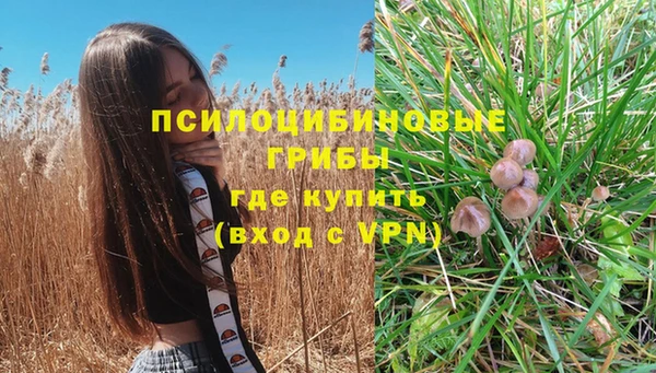 скорость Алзамай