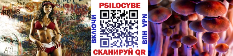 Галлюциногенные грибы мицелий  наркошоп  ОМГ ОМГ зеркало  Камешково 